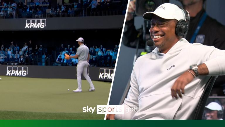 艺术等多个 艺术等多个