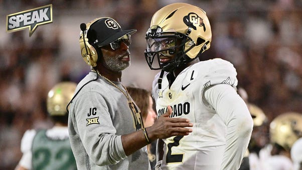 的转会提供 的转会提供